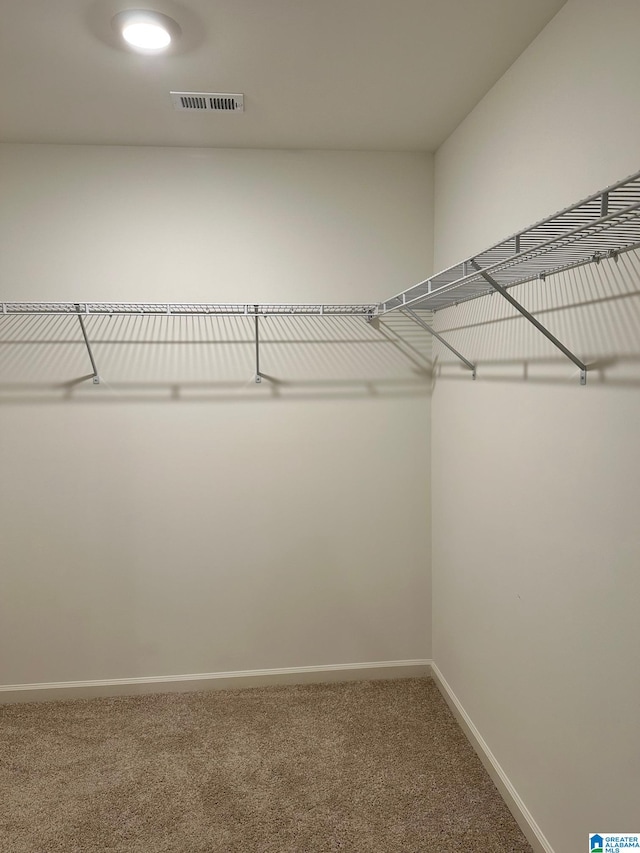 walk in closet featuring carpet flooring