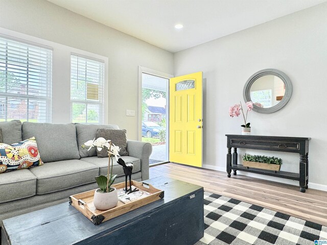 living room with light hardwood / wood-style floors