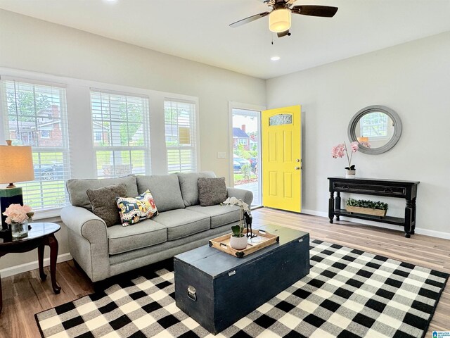 living room with ceiling fan and light wood-type flooring