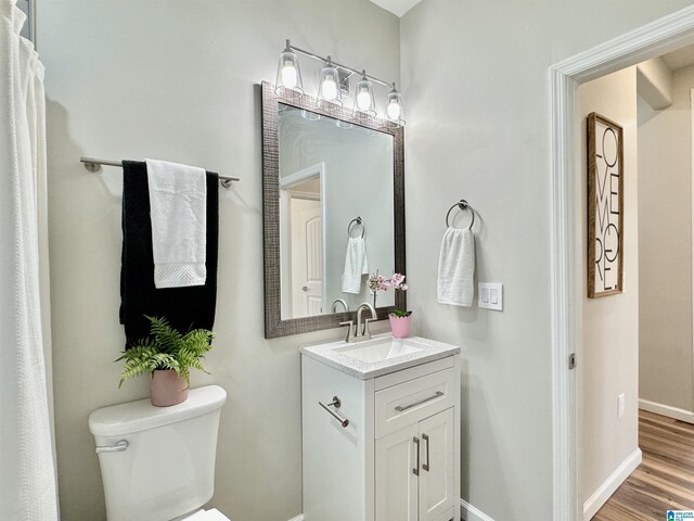 bathroom featuring vanity, toilet, and wood-type flooring