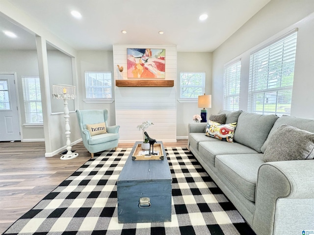 living room with hardwood / wood-style floors