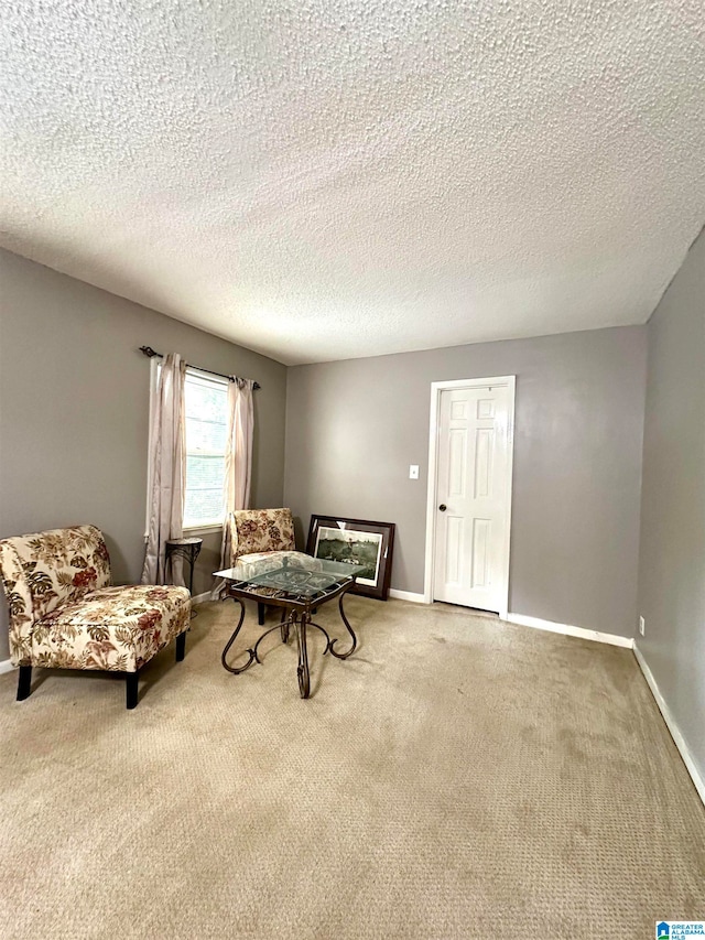 carpeted living room with a textured ceiling