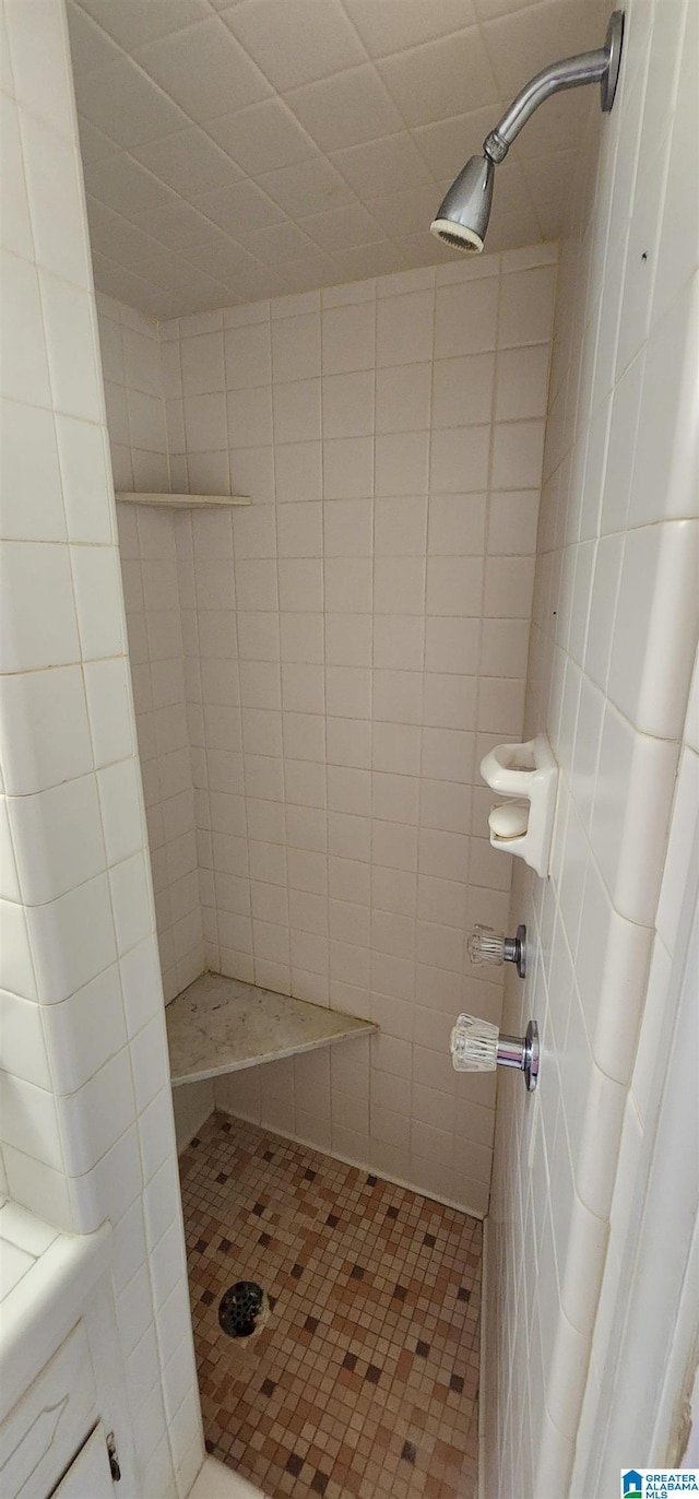 bathroom featuring a shower with curtain