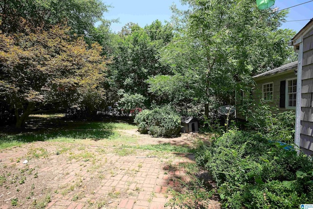 view of yard featuring a shed