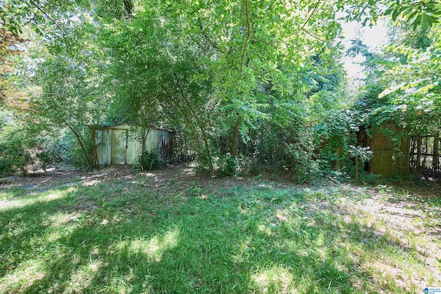 view of yard featuring a storage unit