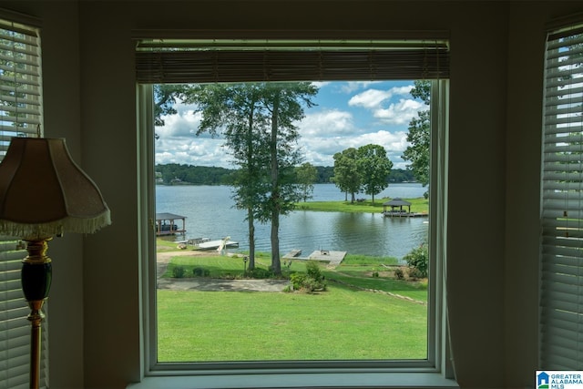 doorway with plenty of natural light and a water view