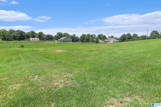 507 Cross Walk, Bessemer, AL 35023 - view of yard with a rural view
