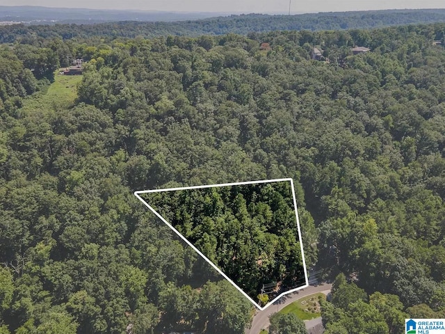 bird's eye view featuring a view of trees