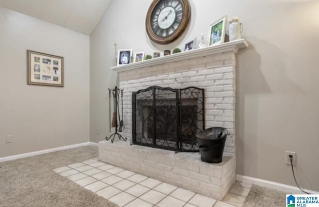 details with a fireplace and carpet floors