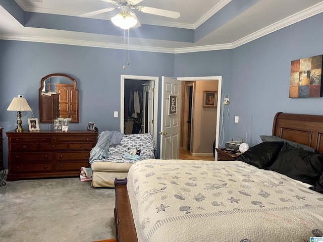 carpeted bedroom with ornamental molding, a spacious closet, and a tray ceiling