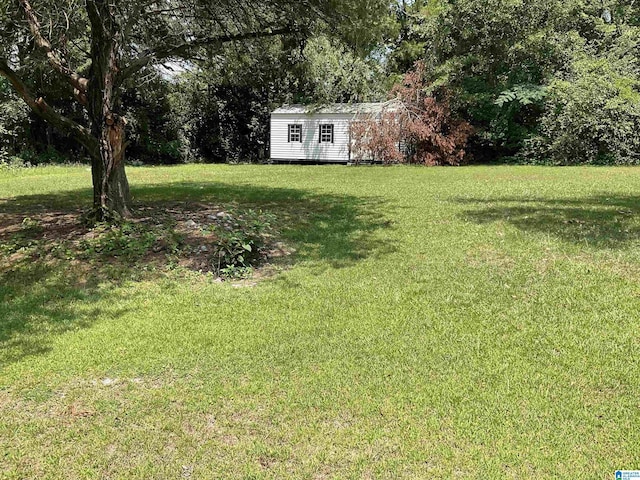 view of yard featuring a storage shed