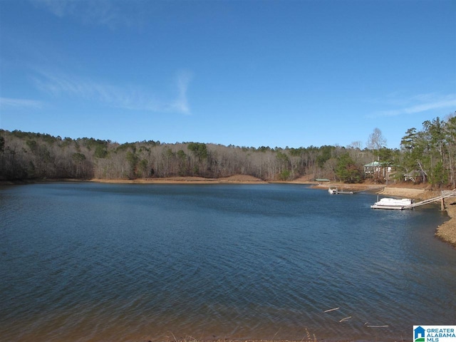 LOT13 County Road 99 Unit 13, Wedowee, AL 36278