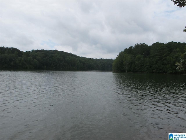 Listing photo 2 for LOT13 County Road 99 Unit 13, Wedowee AL 36278