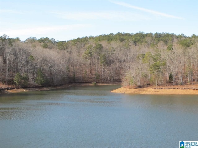 Listing photo 3 for LOT13 County Road 99 Unit 13, Wedowee AL 36278