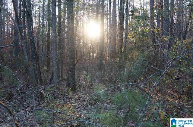 Listing photo 3 for 0 Deer Run Rd Unit 9-15, Sylacauga AL 35150