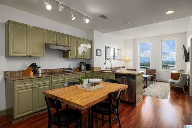 kitchen featuring stainless steel dishwasher, dark wood-type flooring, track lighting, and green cabinetry