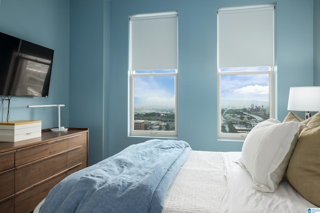 bedroom featuring multiple windows