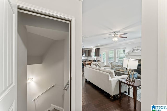 living room featuring dark hardwood / wood-style flooring and ceiling fan