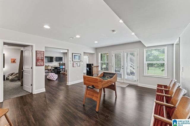 recreation room with dark hardwood / wood-style flooring and french doors