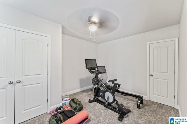 workout room featuring carpet flooring and ceiling fan