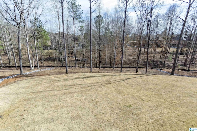 view of yard featuring dirt driveway