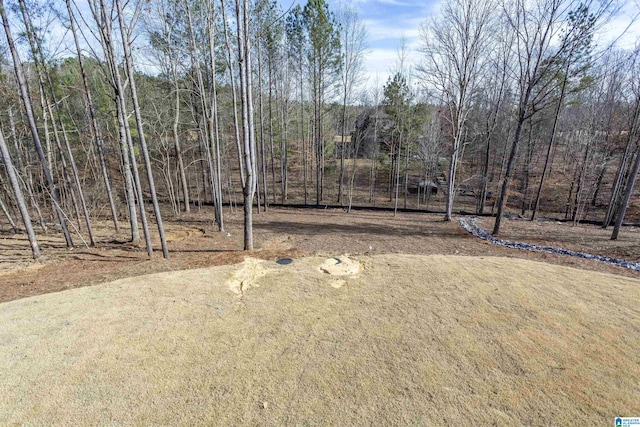 view of yard featuring a wooded view