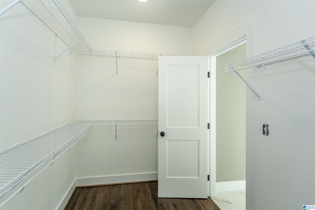 walk in closet featuring dark wood finished floors