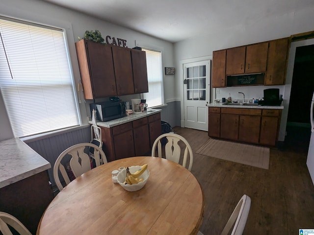 kitchen with dark brown cabinets, dark hardwood / wood-style floors, a wealth of natural light, and sink