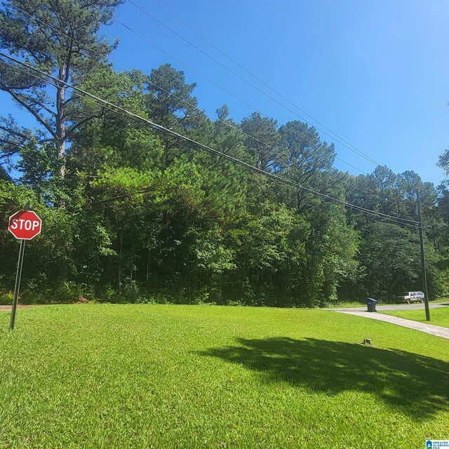 Listing photo 3 for 0 Grogan Rd Unit 0, Talladega AL 35160