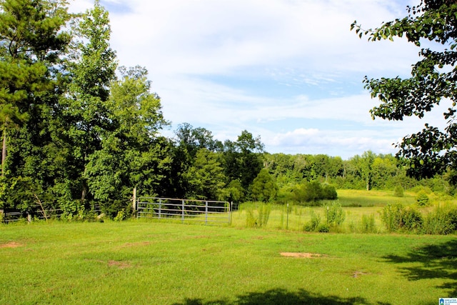 view of yard featuring a rural view