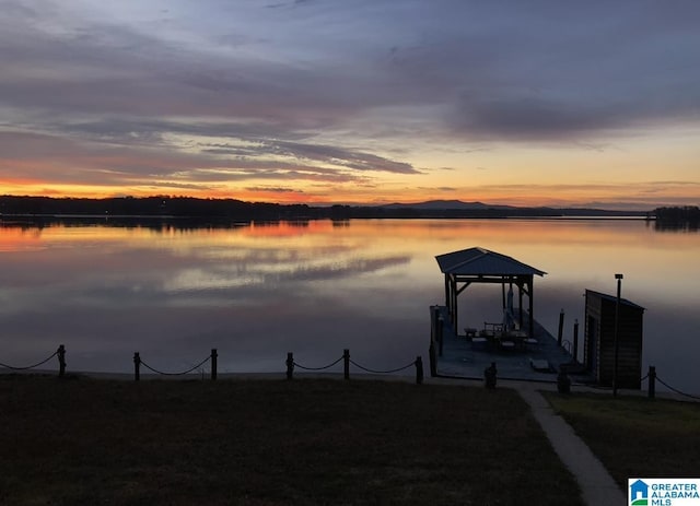 dock area with a water view