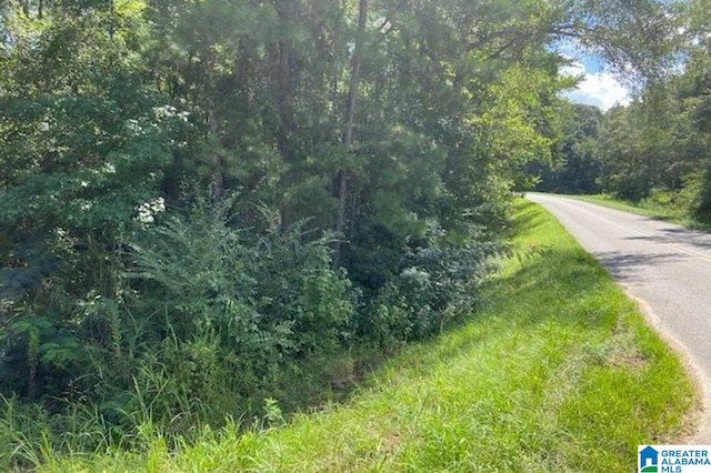 Listing photo 2 for 0COUNTYRD458 Co Rd Lot # 1, Clanton AL 35046