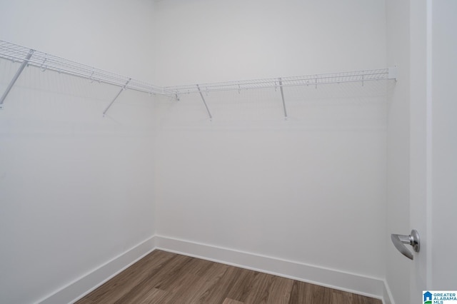 spacious closet with hardwood / wood-style floors