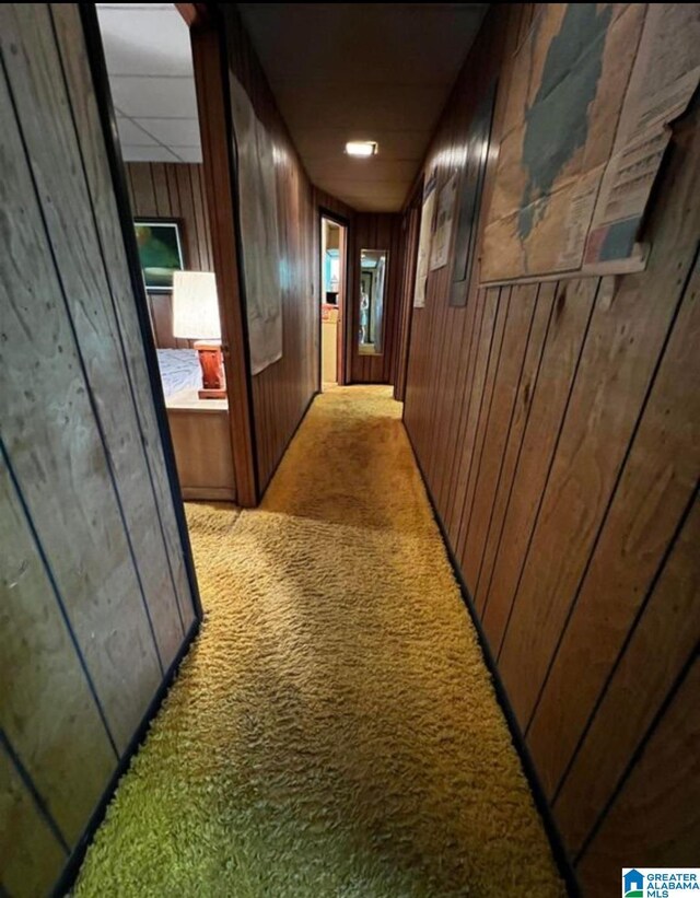 hallway featuring wood walls and carpet