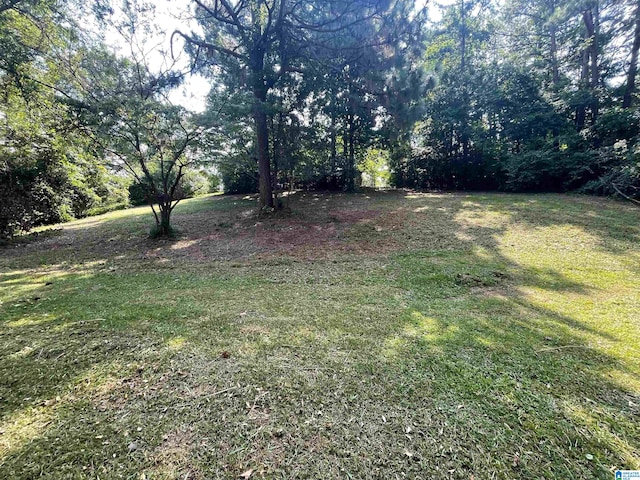 1217 Elizabeth St Unit 14, Leeds AL, 35094 land for sale