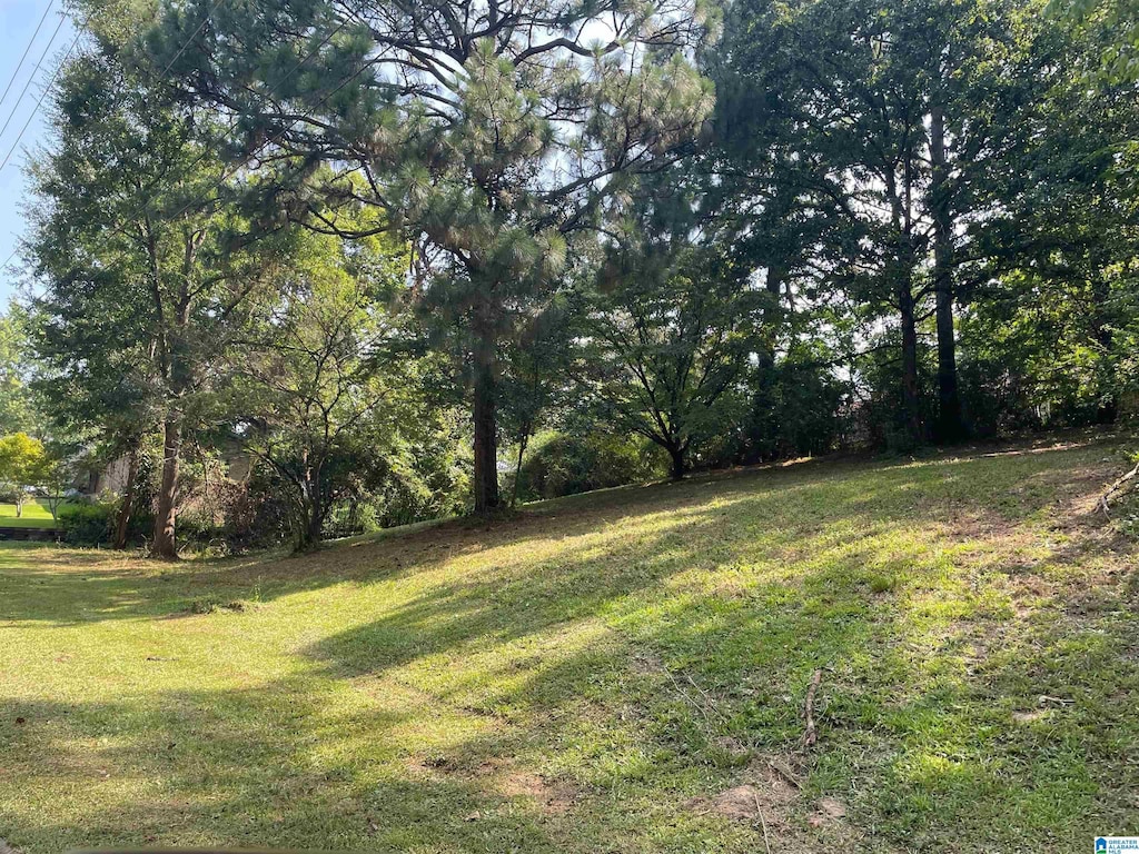 1217 Elizabeth St Unit 14, Leeds, AL 35094