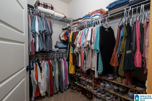 walk in closet featuring carpet