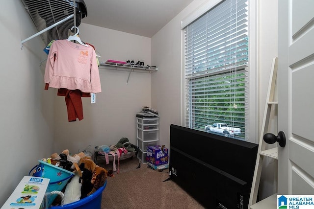 spacious closet featuring carpet flooring