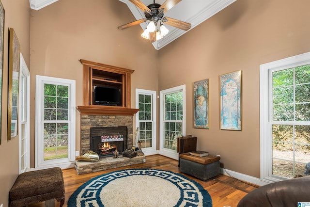 living room featuring a healthy amount of sunlight, a fireplace, a high ceiling, and wood finished floors