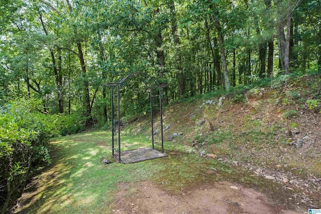 view of yard featuring a forest view