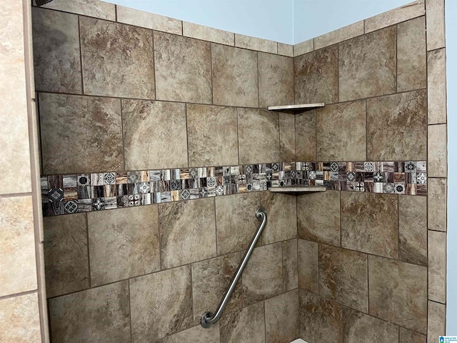 interior details with tiled shower