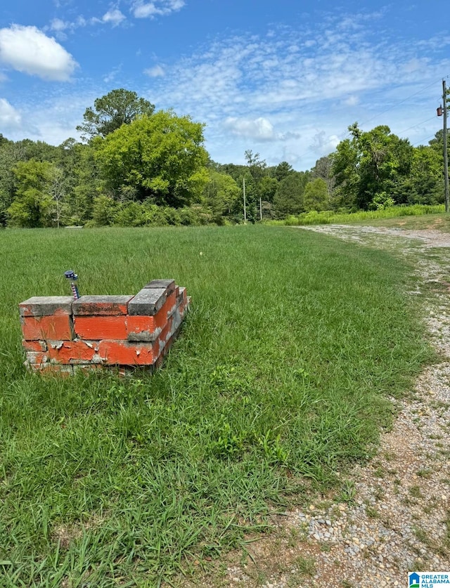 view of yard