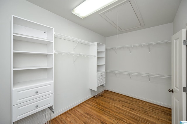 spacious closet featuring attic access and wood finished floors