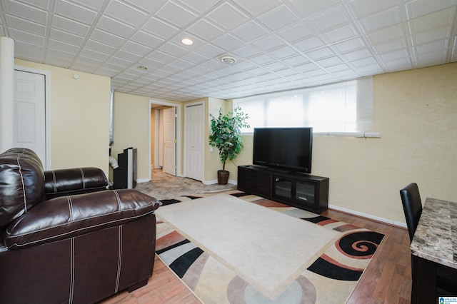 living room featuring wood-type flooring