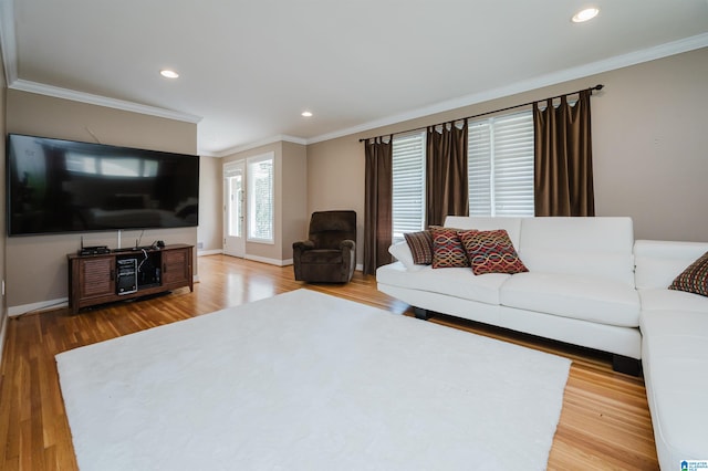 living room with crown molding and hardwood / wood-style floors