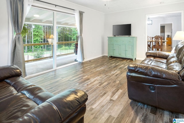 living room featuring hardwood / wood-style flooring