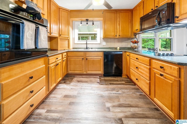 kitchen featuring sink, black appliances, light hardwood / wood-style floors, and ceiling fan