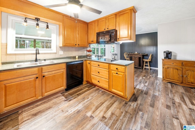 kitchen with plenty of natural light, sink, hardwood / wood-style floors, and black appliances