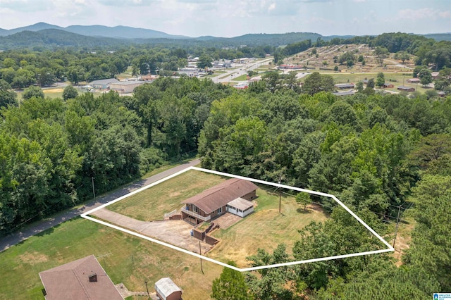 bird's eye view with a mountain view