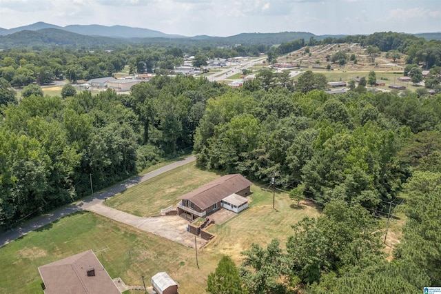 birds eye view of property featuring a mountain view